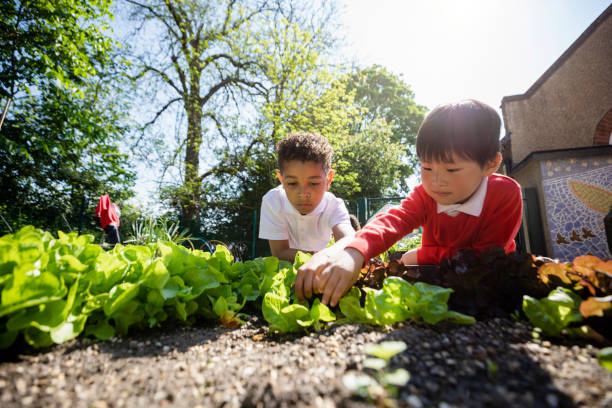kreatif! ini 8 inspirasi berkebun bersama anak yang boleh dicontohi! 14 inspirasi berkebun sedari kecil