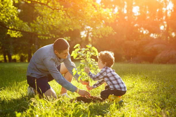 kreatif! ini 8 inspirasi berkebun bersama anak yang boleh dicontohi! 24 istockphoto 810877470 612x612 1